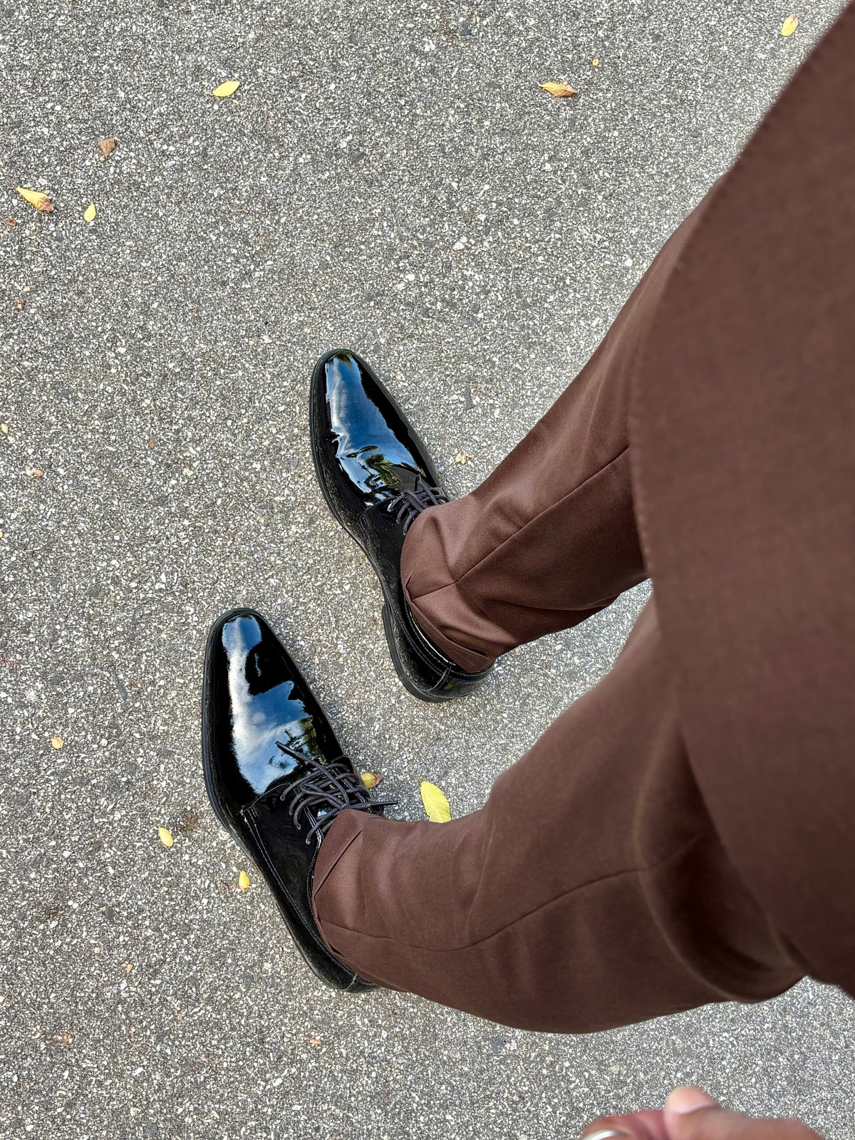 Ferracini Cameroon Lace Up Leather Shoe - Ferracini Shoes Australia