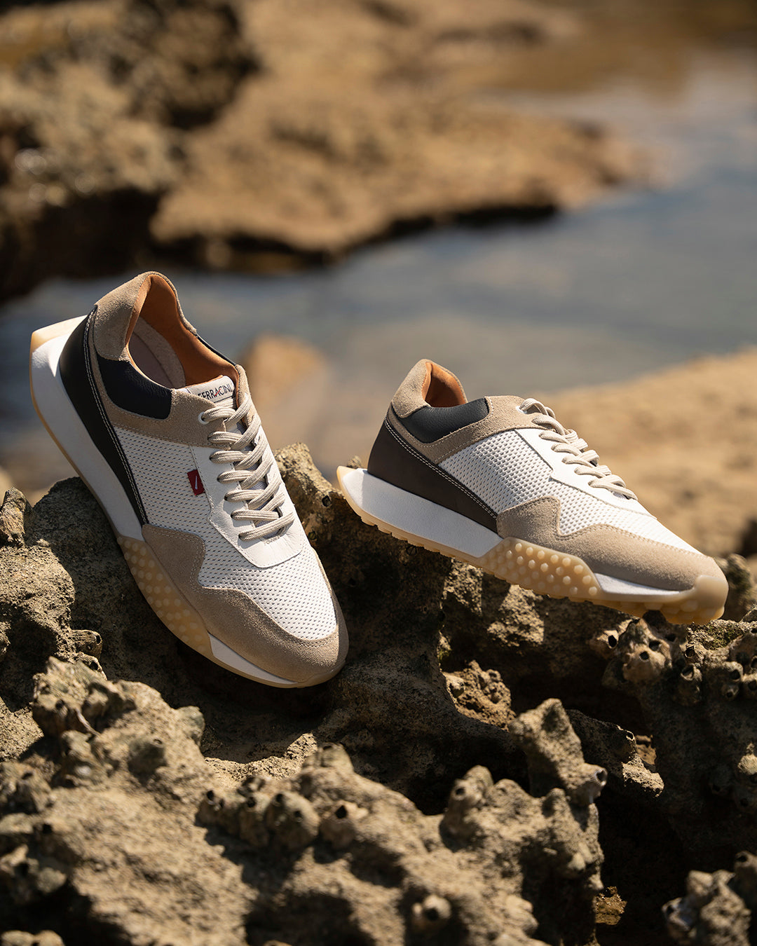 Ferracini Pietro Lace Up Leather Sneaker - Ferracini Shoes Australia