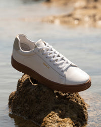 Ferracini Pino Lace Up Leather Sneaker - Ferracini Shoes Australia